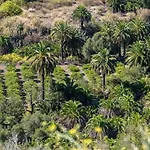 Dunaflor Sunny Maspalomas (Gran Canaria)