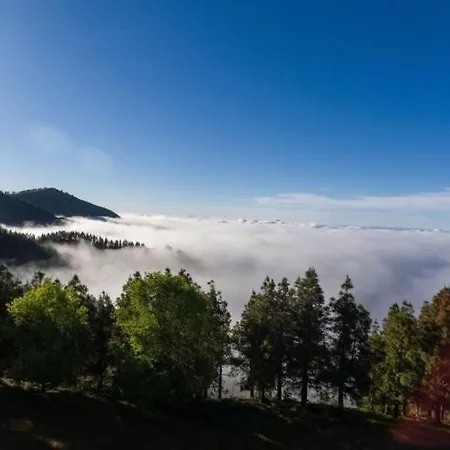 Dunaflor Sunny Апартаменты