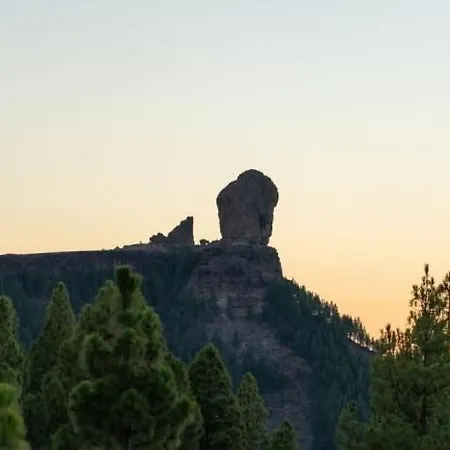 Апартаменты Dunaflor Sunny *